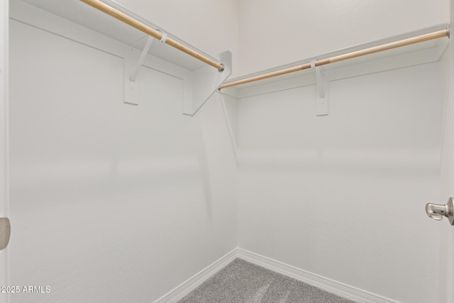 walk in closet featuring carpet floors