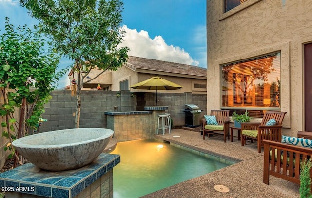 view of pool with a patio, outdoor lounge area, grilling area, and a bar