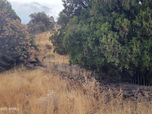 view of local wilderness