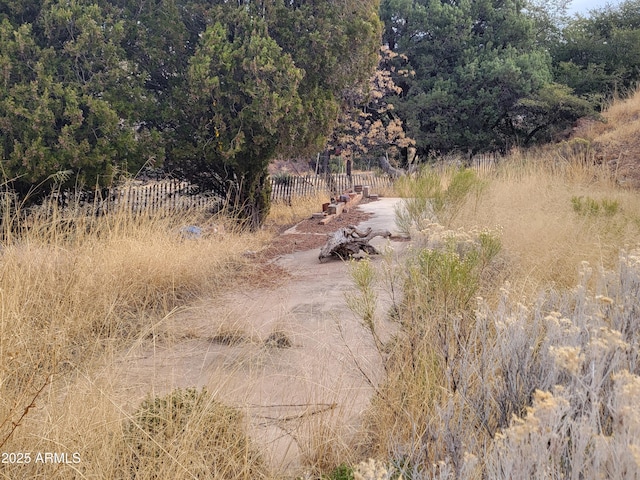 view of local wilderness