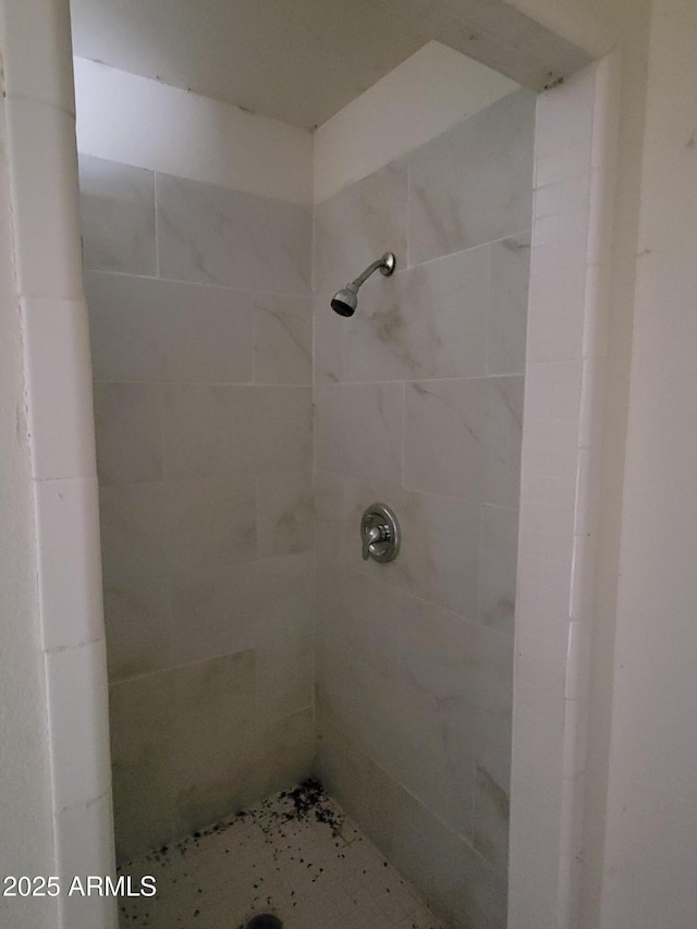 bathroom with a stall shower