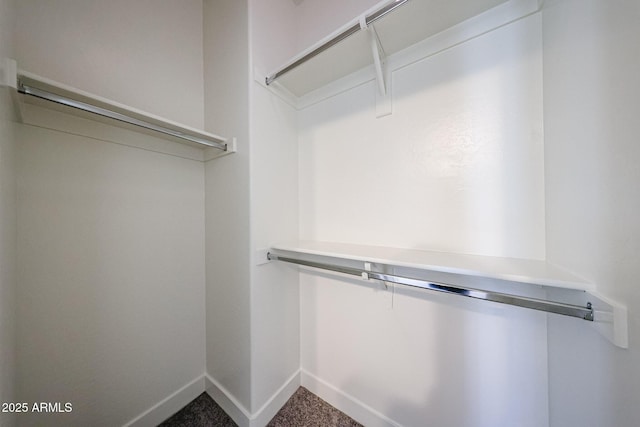10036 E Naranja Ave, Mesa, AZ 85209 - walk in closet with carpet flooring