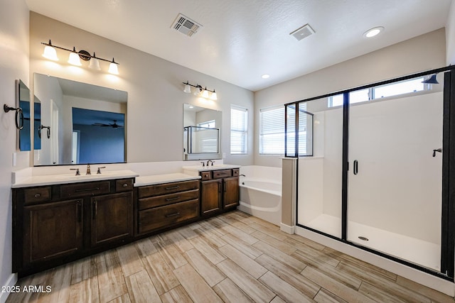 10036 E Naranja Ave, Mesa, AZ 85209 - full bathroom featuring a garden tub, healthy amount of natural light, and a stall shower