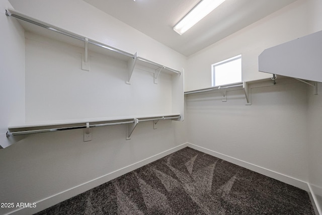 10036 E Naranja Ave, Mesa, AZ 85209 - spacious closet featuring dark colored carpet