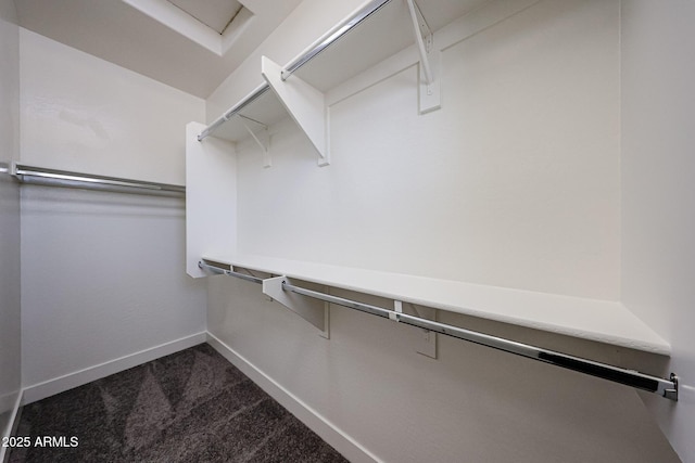 10036 E Naranja Ave, Mesa, AZ 85209 - walk in closet with dark carpet