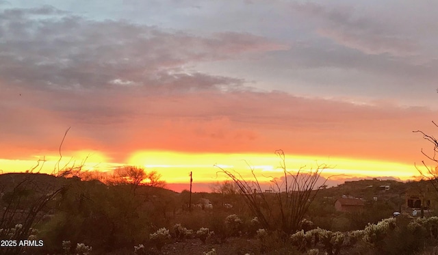 view of nature