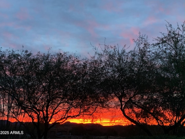 view of nature at dusk