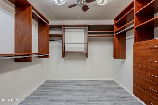 walk in closet with a ceiling fan and wood finished floors