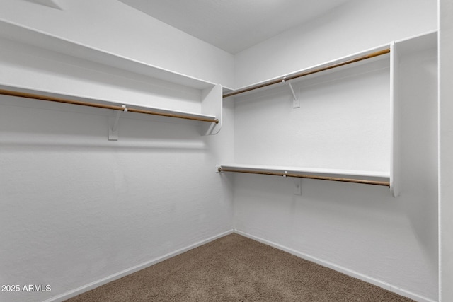 spacious closet with carpet flooring