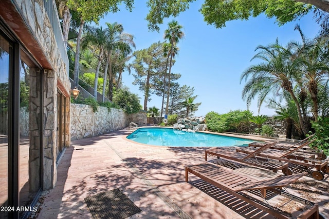 view of pool with a patio area