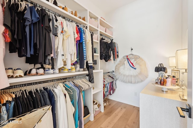walk in closet featuring wood finished floors