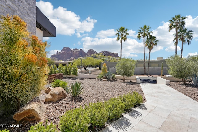 view of yard with a mountain view