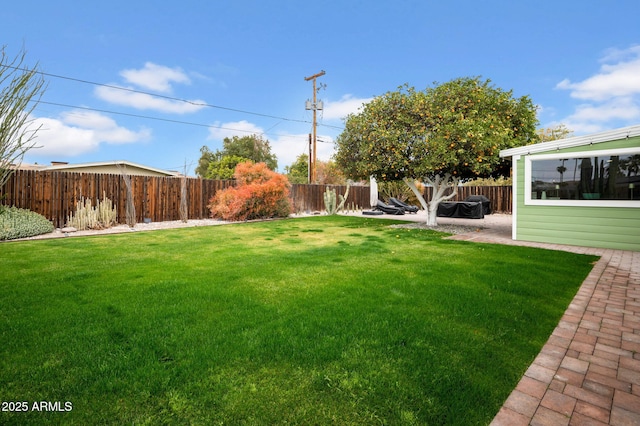 view of yard featuring a patio