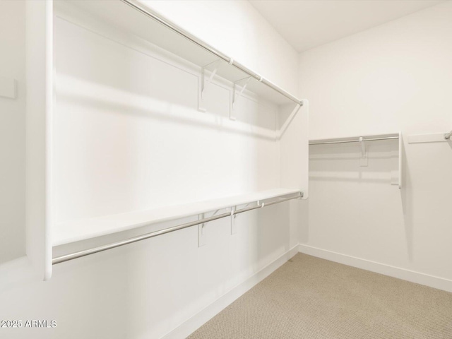 spacious closet with carpet flooring