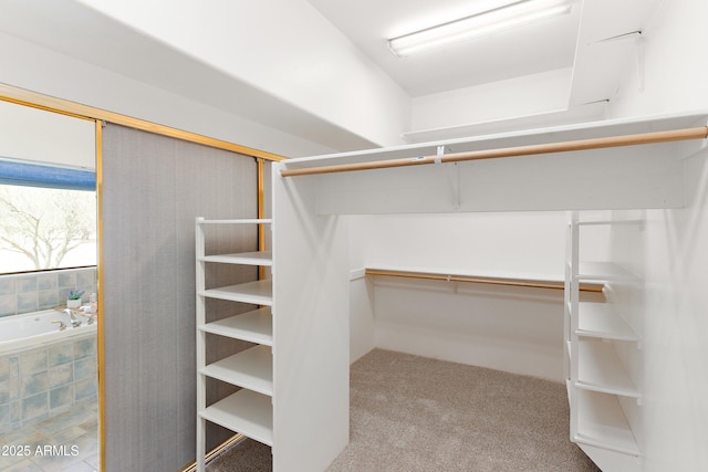 walk in closet featuring carpet floors
