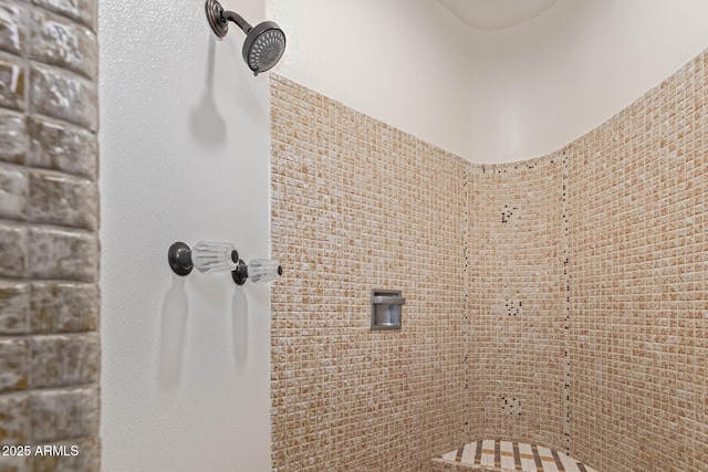 1545 E Christy Dr, Phoenix, AZ 85020 - bathroom featuring a tile shower