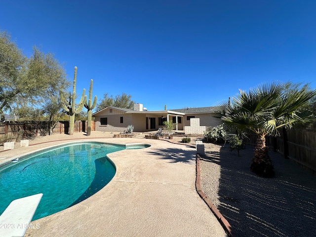 view of swimming pool with a patio and a diving board