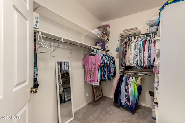 19700 N 76th St Unit 1040, Scottsdale, AZ 85255 - walk in closet featuring carpet floors