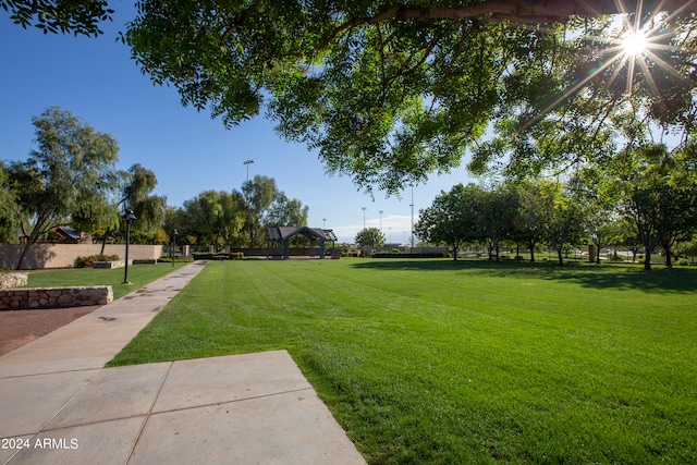 view of property's community featuring a yard