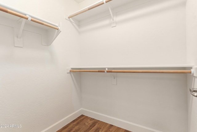 spacious closet with wood-type flooring