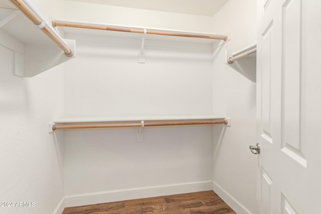 spacious closet with wood-type flooring