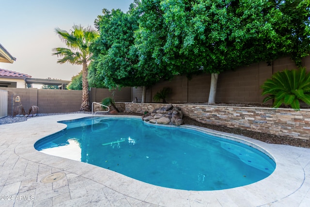 view of pool with a patio