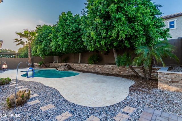 view of swimming pool with a patio area