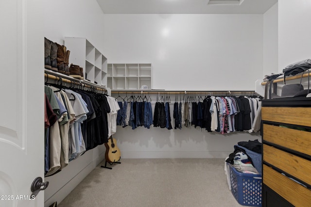 spacious closet featuring carpet flooring