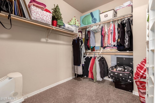120 E Concorda Dr, Tempe, AZ 85282 - walk in closet featuring carpet
