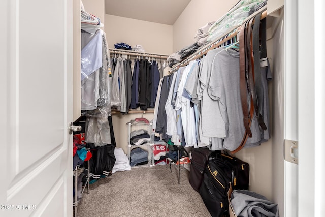 120 E Concorda Dr, Tempe, AZ 85282 - spacious closet with carpet floors