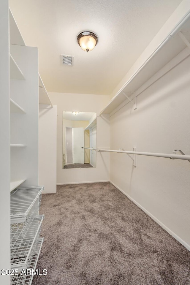 spacious closet featuring carpet floors