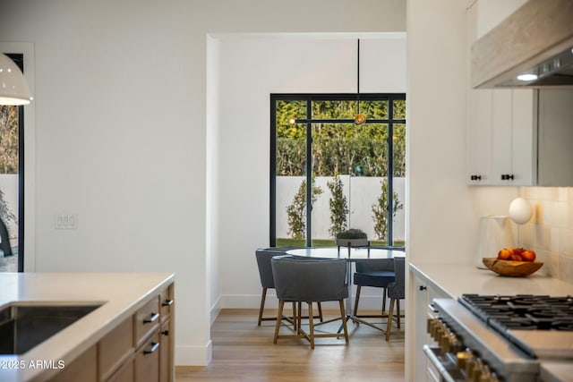 kitchen with high end stainless steel range oven, custom exhaust hood, light hardwood / wood-style floors, tasteful backsplash, and white cabinets