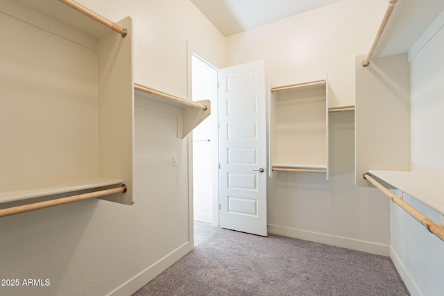 spacious closet featuring light carpet