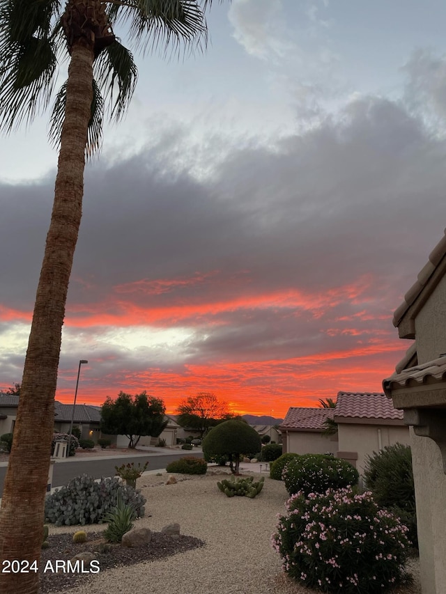 view of yard at dusk