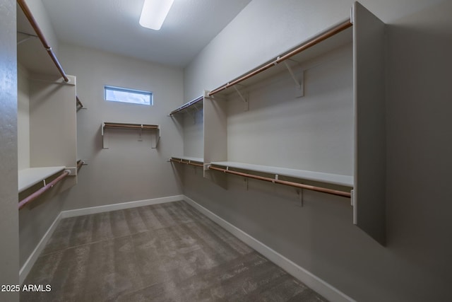 walk in closet with carpet flooring