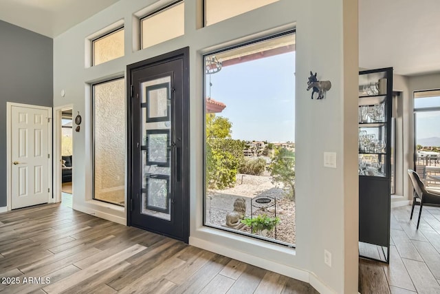 foyer featuring hardwood / wood-style flooring and a towering ceiling