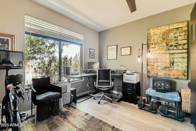 home office featuring light hardwood / wood-style flooring