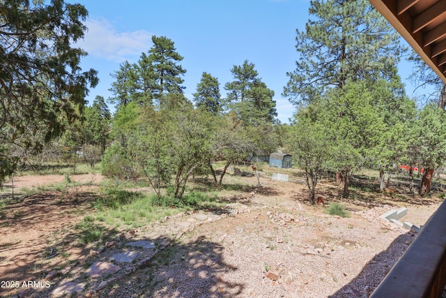 502 W Locust Rd, Payson, AZ 85541 - view of yard