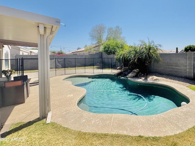 view of pool featuring a patio area, a fenced in pool, and a fenced backyard
