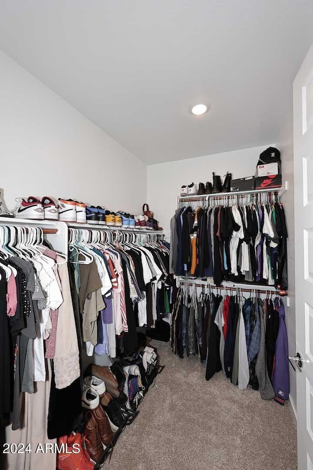 walk in closet with carpet floors