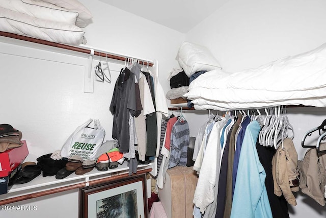 view of spacious closet