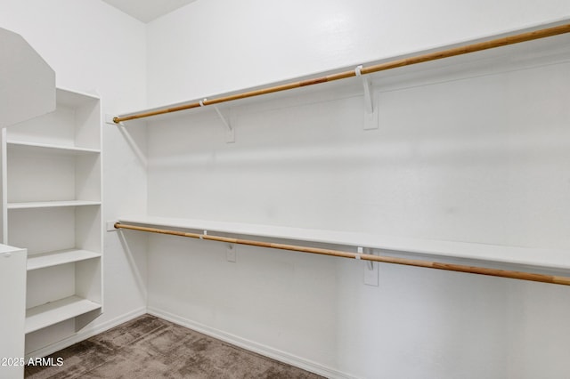 spacious closet with carpet floors