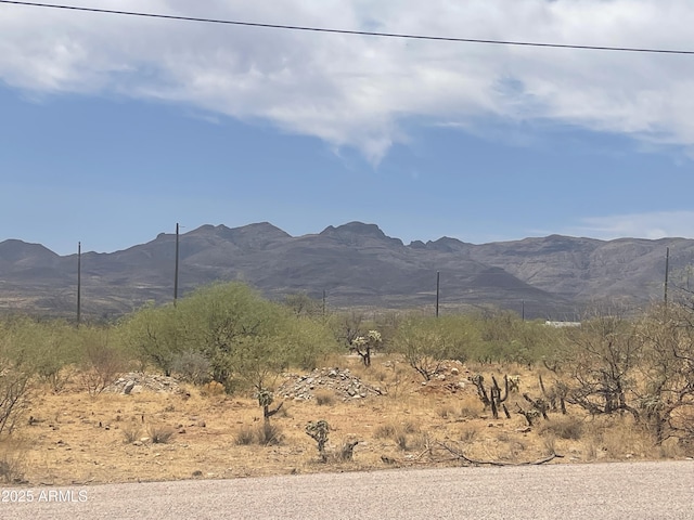 1825 Via Nueva Zelandia, Rio Rico, AZ 85648 - view of mountain background