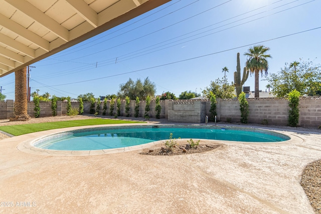 view of pool with a patio area