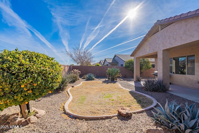 view of yard featuring a patio area