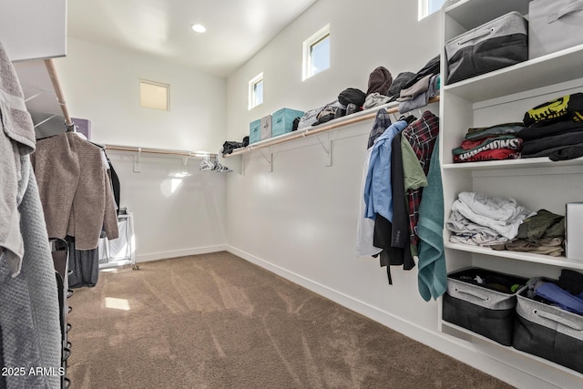 spacious closet with carpet floors