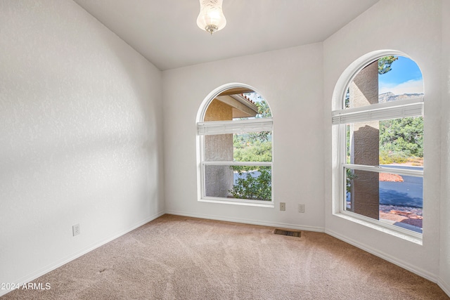 carpeted empty room featuring a healthy amount of sunlight