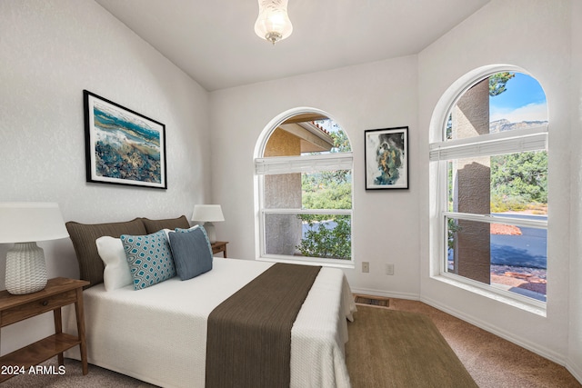 carpeted bedroom featuring multiple windows