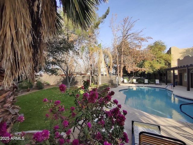 view of pool with a yard