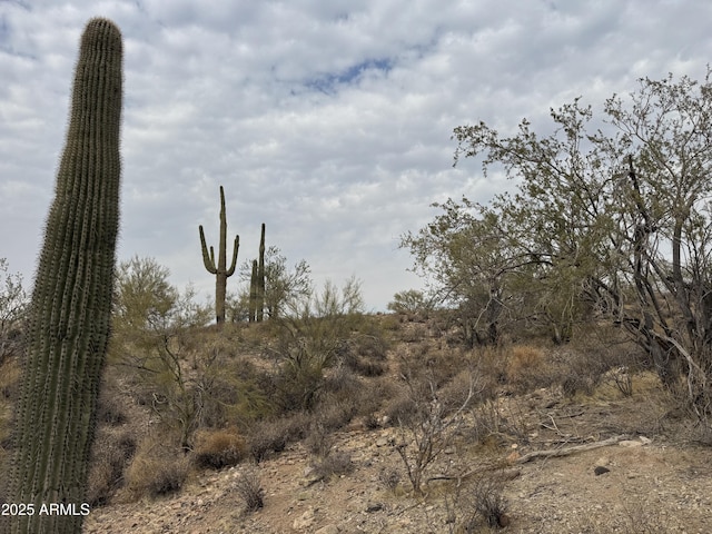 Listing photo 3 for 43925 N Saguaro Blossom Ln -, Unit Morristown AZ 85342